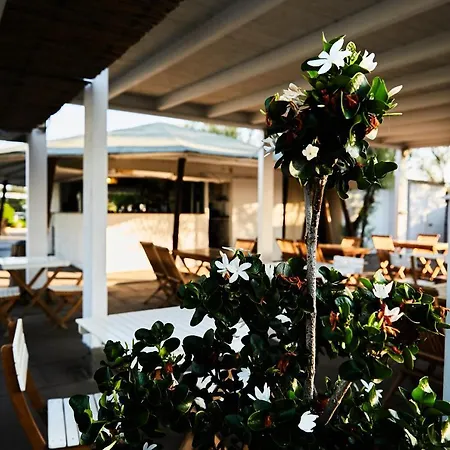 Hotel Enterprise 4*